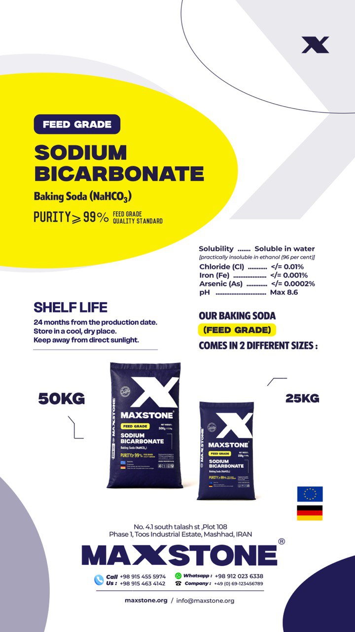 photo_2025-10-03_04-22-53